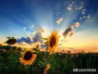 上海舜娟企业管理有限公司