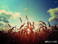 上海舜娟企业管理有限公司