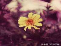 上海舜娟企业管理有限公司