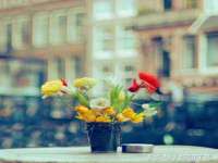 上海舜娟企业管理有限公司
