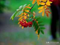 上海舜娟企业管理有限公司