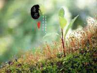 上海舜娟企业管理有限公司