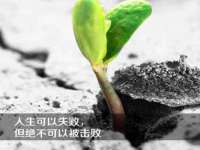上海舜娟企业管理有限公司