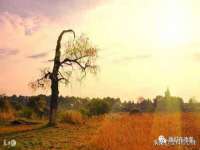 上海舜娟企业管理有限公司