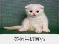 上海舜娟企业管理有限公司