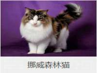 上海舜娟企业管理有限公司