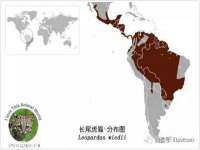 上海舜娟企业管理有限公司