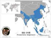 上海舜娟企业管理有限公司