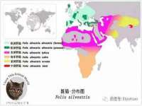 上海舜娟企业管理有限公司