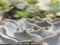 上海舜娟企业管理有限公司