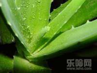 上海舜娟企业管理有限公司