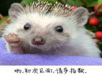 上海舜娟企业管理有限公司