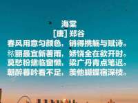 上海舜娟企业管理有限公司