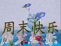 上海舜娟企业管理有限公司