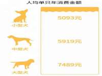 上海舜娟企业管理有限公司
