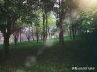 上海舜娟企业管理有限公司