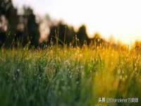 上海舜娟企业管理有限公司