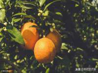 上海舜娟企业管理有限公司