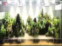 上海舜娟企业管理有限公司