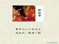 上海舜娟企业管理有限公司