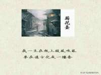 上海舜娟企业管理有限公司