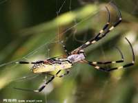 上海舜娟企业管理有限公司
