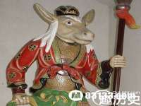 上海舜娟企业管理有限公司