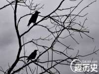上海舜娟企业管理有限公司