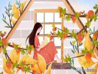 上海舜娟企业管理有限公司