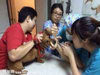 上海舜娟企业管理有限公司