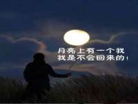 上海舜娟企业管理有限公司