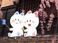 上海舜娟企业管理有限公司