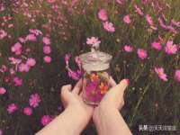 上海舜娟企业管理有限公司