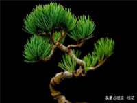 上海舜娟企业管理有限公司